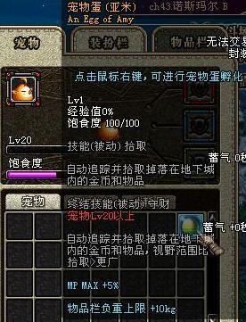 那些可爱又迷人的dnf绝版宠物 你都见过吗