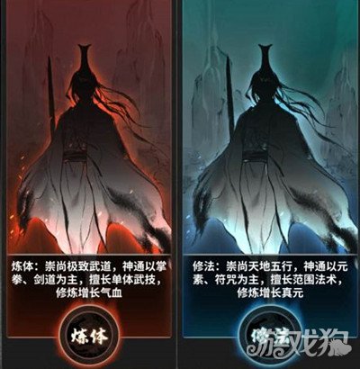 两种修炼方法都分为12个境界,修法有江湖好手,炼气,筑基,结丹,元婴,化