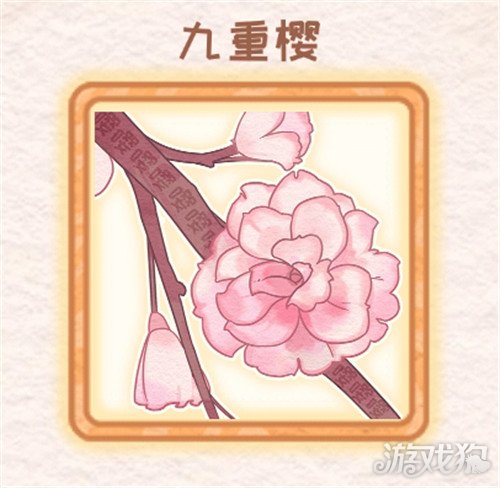 花店物语九重樱如何获取制作一江春水的方法是什么