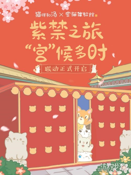 猫咪和汤x宫猫体验馆 奉旨撸猫大旨店上线