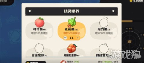 洛克王国世界可可果树在哪里 可可果树具体位置