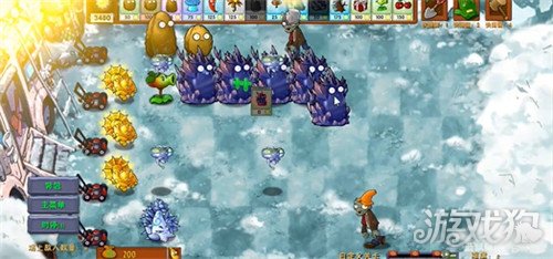 植物大战僵尸融合版雪兽骑士怎么样 雪兽骑士属性介绍